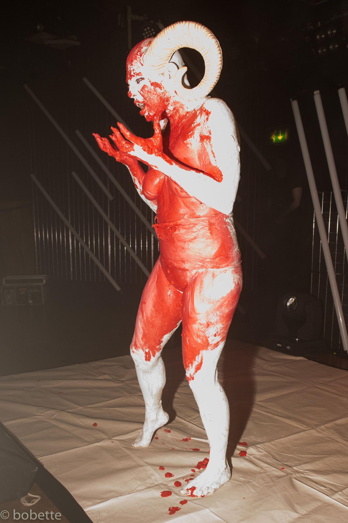 2024 Albums Torture Garden Tg April Dsc 9713.Jpg