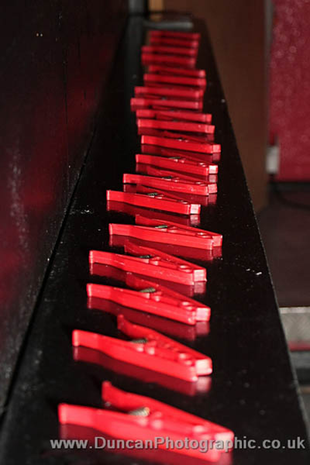 2009 Albums Club Black Whip Club Black Whip April 2009 Bw0409003.Jpg